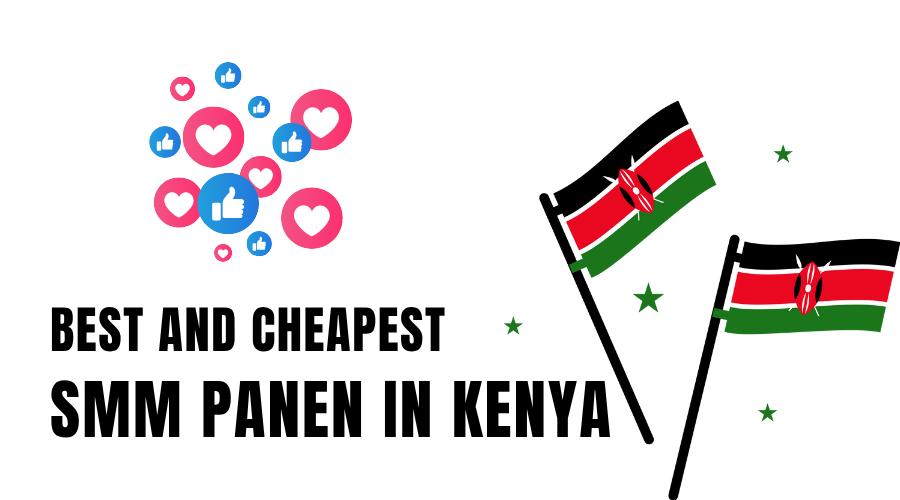 BETA SMM PANEL KENYA visual data 6